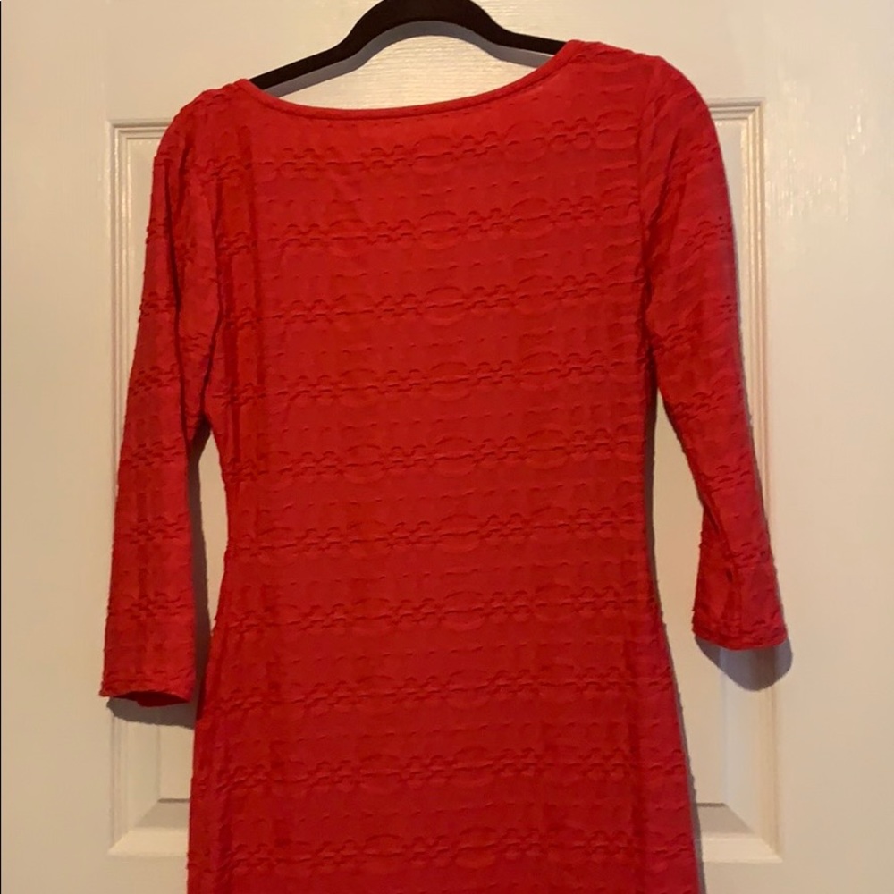 Long Sleeve dress NWT - Picture 3 of 5